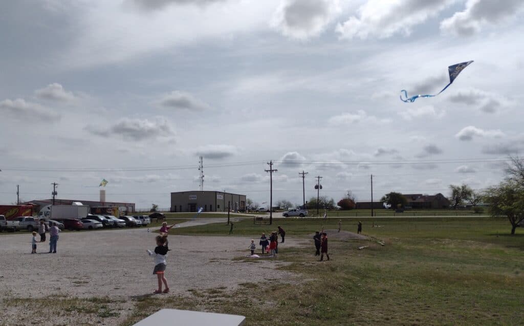 Picture of Children Flying Kites